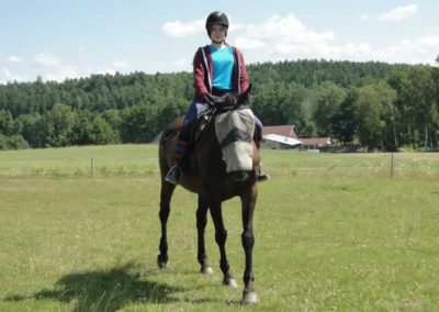 oboz-konie-2017-4-1-0002