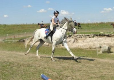 oboz-konie-2017-4-1-0044