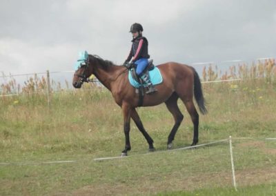 oboz-konie-2017-4-2-0005