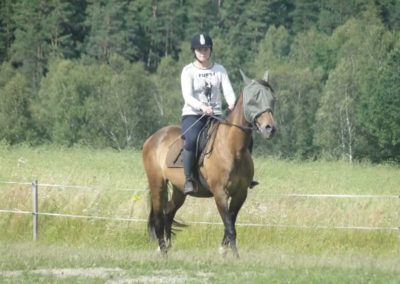 oboz-konie-2017-4-2-0191