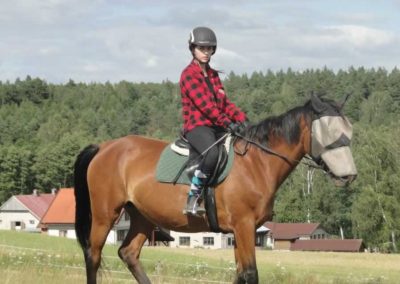 oboz-konie-2017-4-2-0208