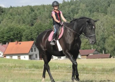 oboz-konie-2017-4-2-0210