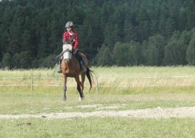 oboz-konie-2017-4-2-0215