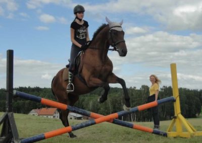 oboz-konie-2017-4-2-0264