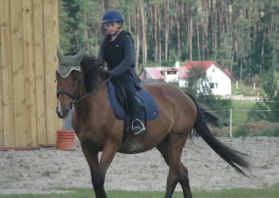oboz-konie-2017-4-3-0004