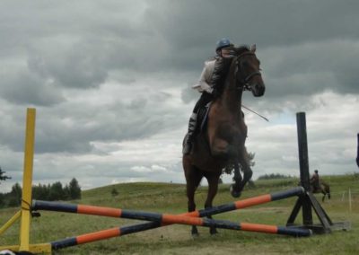 oboz-konie-2017-4-3-0055