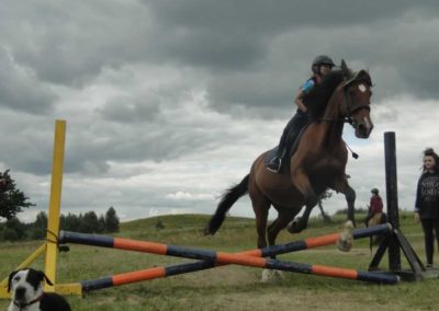 oboz-konie-2017-4-3-0059