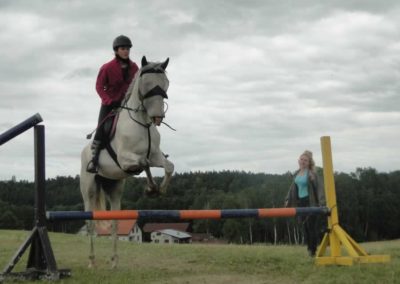 oboz-konie-2017-4-3-0074