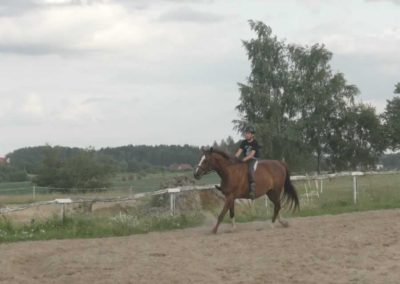 oboz-konie-2017-4-3-0120