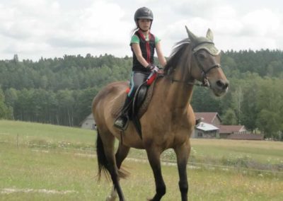 oboz-konie-2017-4-4-0010