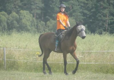 oboz-konie-2017-4-4-0023