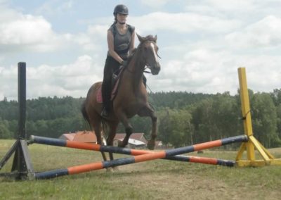 oboz-konie-2017-4-4-0048