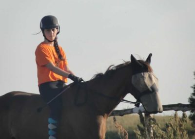 oboz-konie-2017-4-4-0126