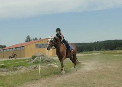 oboz-konie-2017-4-5-0125