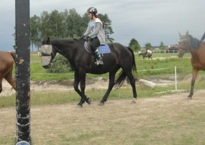 oboz-konie-2017-4-6-0002