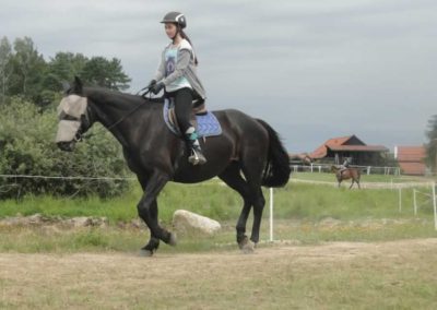 oboz-konie-2017-4-6-0005