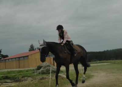 oboz-konie-2017-4-6-0026
