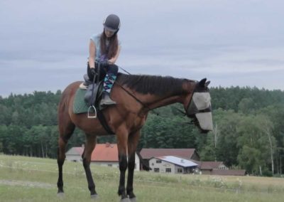 oboz-konie-2017-4-6-0070