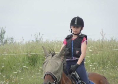 oboz-konie-2017-4-7-0013