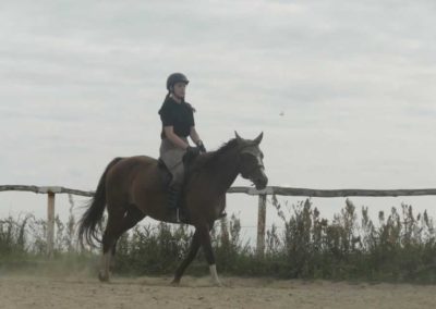 oboz-konie-2017-4-7-0168
