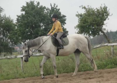 oboz-konie-2017-9-1-0013