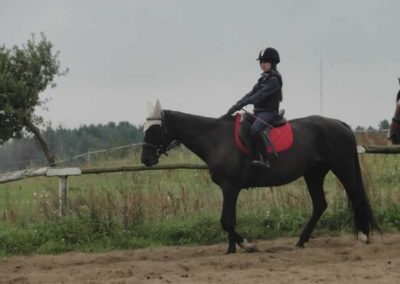 oboz-konie-2017-9-1-0016