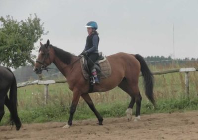 oboz-konie-2017-9-1-0017