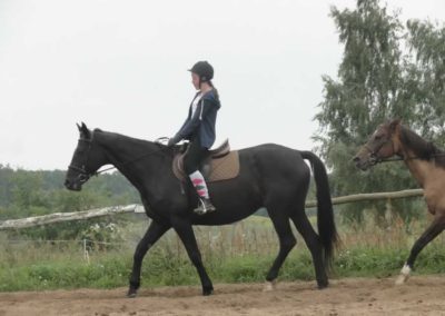 oboz-konie-2017-9-1-0072
