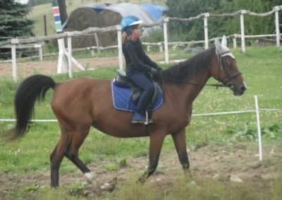 oboz-konie-2017-9-1-0096
