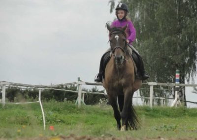 oboz-konie-2017-9-1-0171