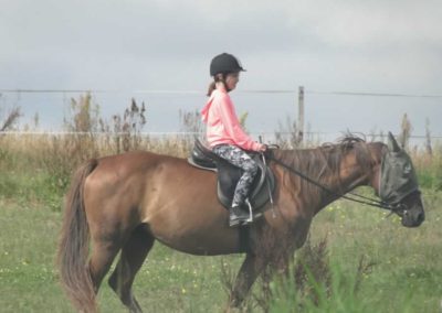 oboz-konie-2017-9-2-0009