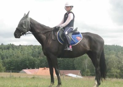 oboz-konie-2017-9-2-0061