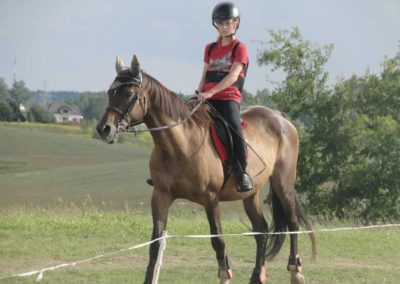 oboz-konie-2017-9-2-0211