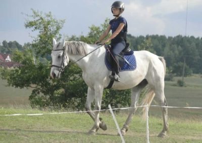 oboz-konie-2017-9-2-0212
