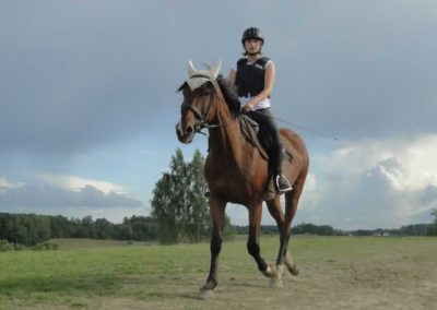 oboz-konie-2017-9-2-0223