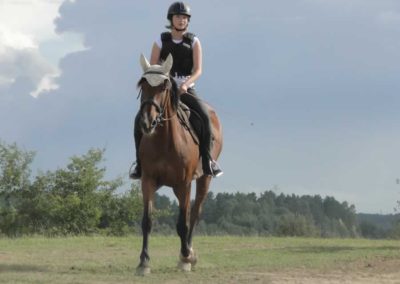 oboz-konie-2017-9-2-0225