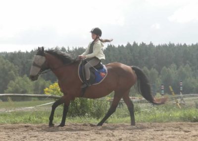 oboz-konie-2017-9-3-0040
