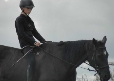 oboz-konie-2017-9-3-0056