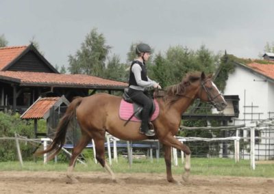 oboz-konie-2017-9-3-0088