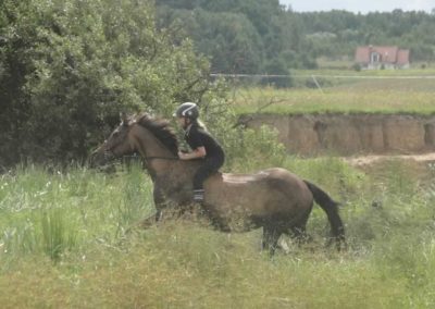 oboz-konie-2017-9-4-0071