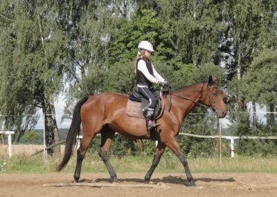 oboz-konie-2017-9-5-0006