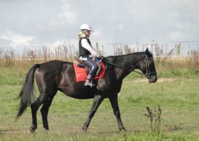 oboz-konie-2017-9-5-0229