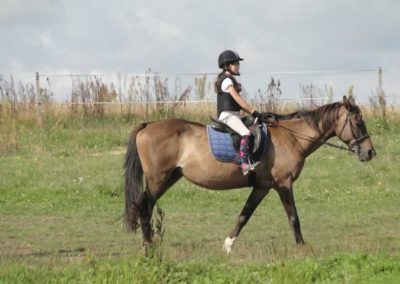 oboz-konie-2017-9-6-0002
