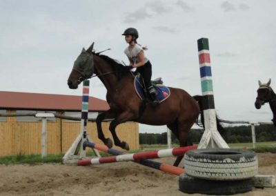 oboz-konie-2017-9-7-0125