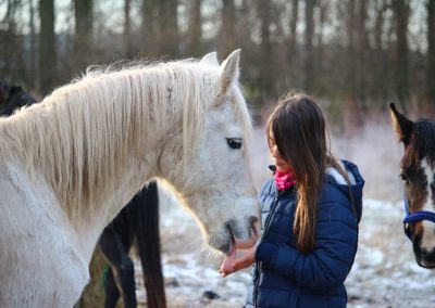 canva-horse,-mold,-winter,-mane,-girl,-friendship-MAC1LfsQWmo